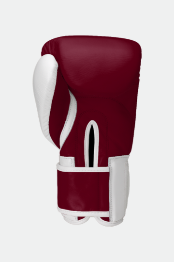 Custom Evolution Boxing Gloves